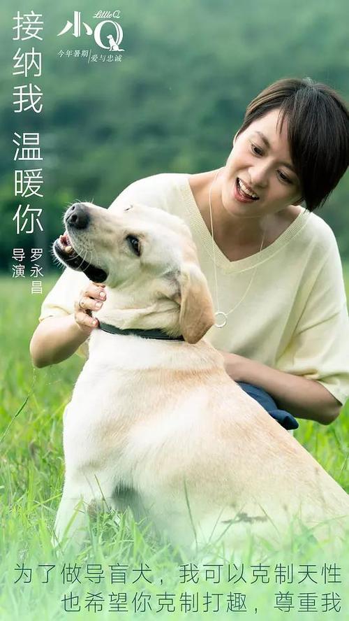 做假考文垂技术学院文凭